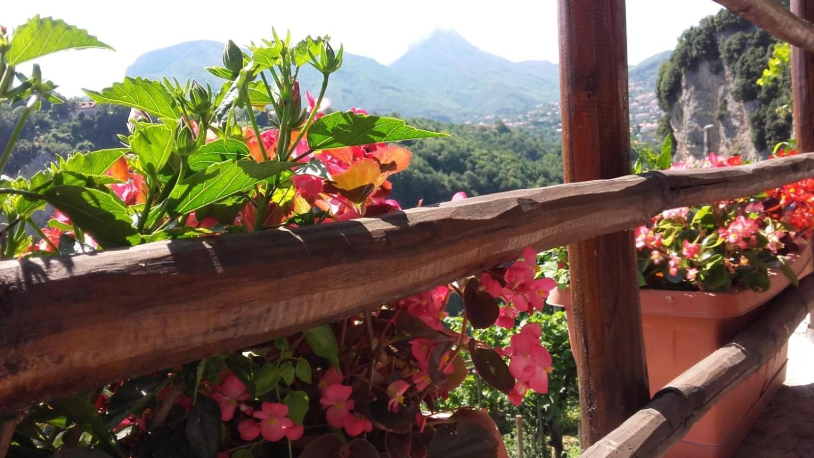 Agriturismo Orrido Di Pino Agerola Exteriér fotografie