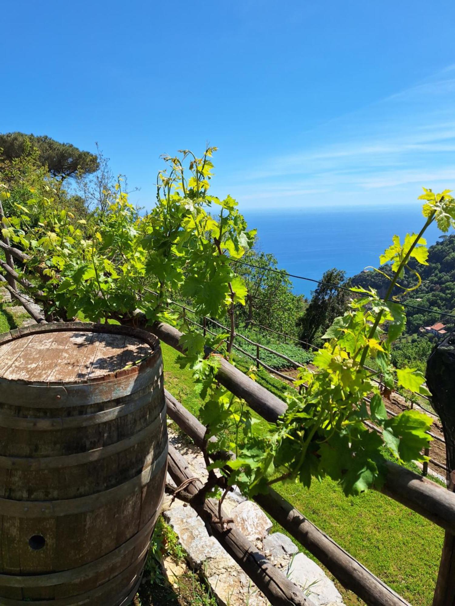 Agriturismo Orrido Di Pino Agerola Exteriér fotografie