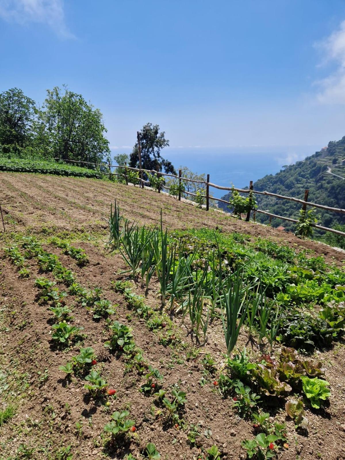 Agriturismo Orrido Di Pino Agerola Exteriér fotografie