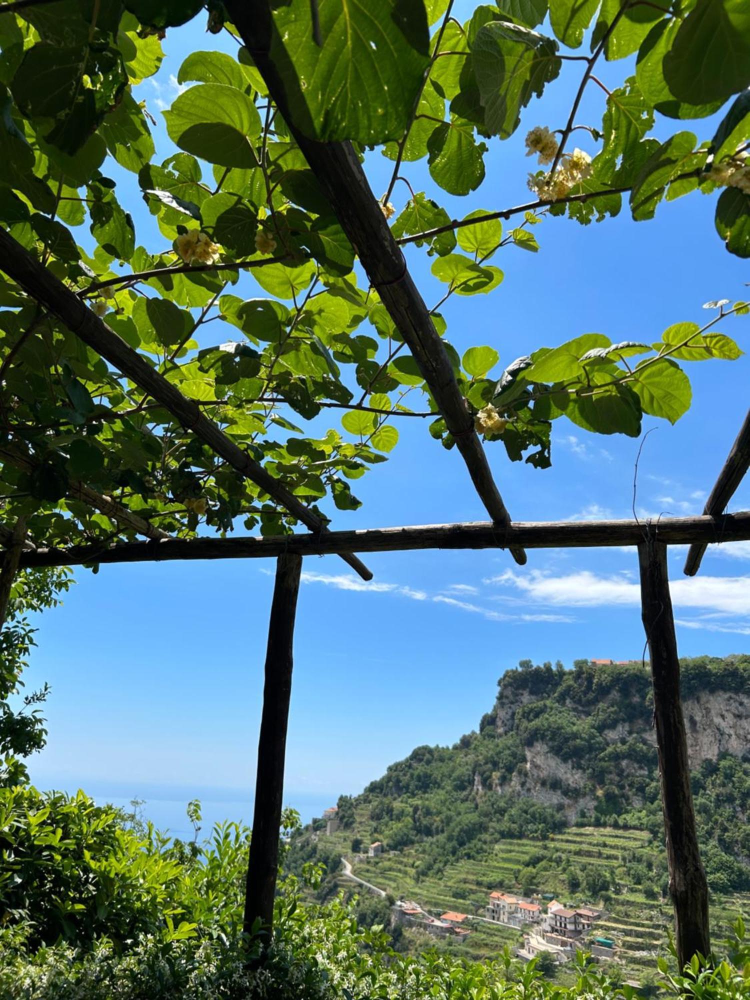 Agriturismo Orrido Di Pino Agerola Exteriér fotografie