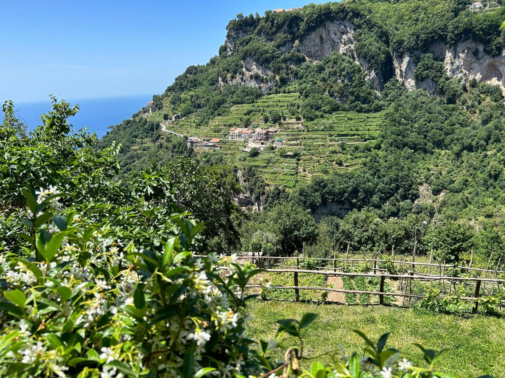 Agriturismo Orrido Di Pino Agerola Exteriér fotografie
