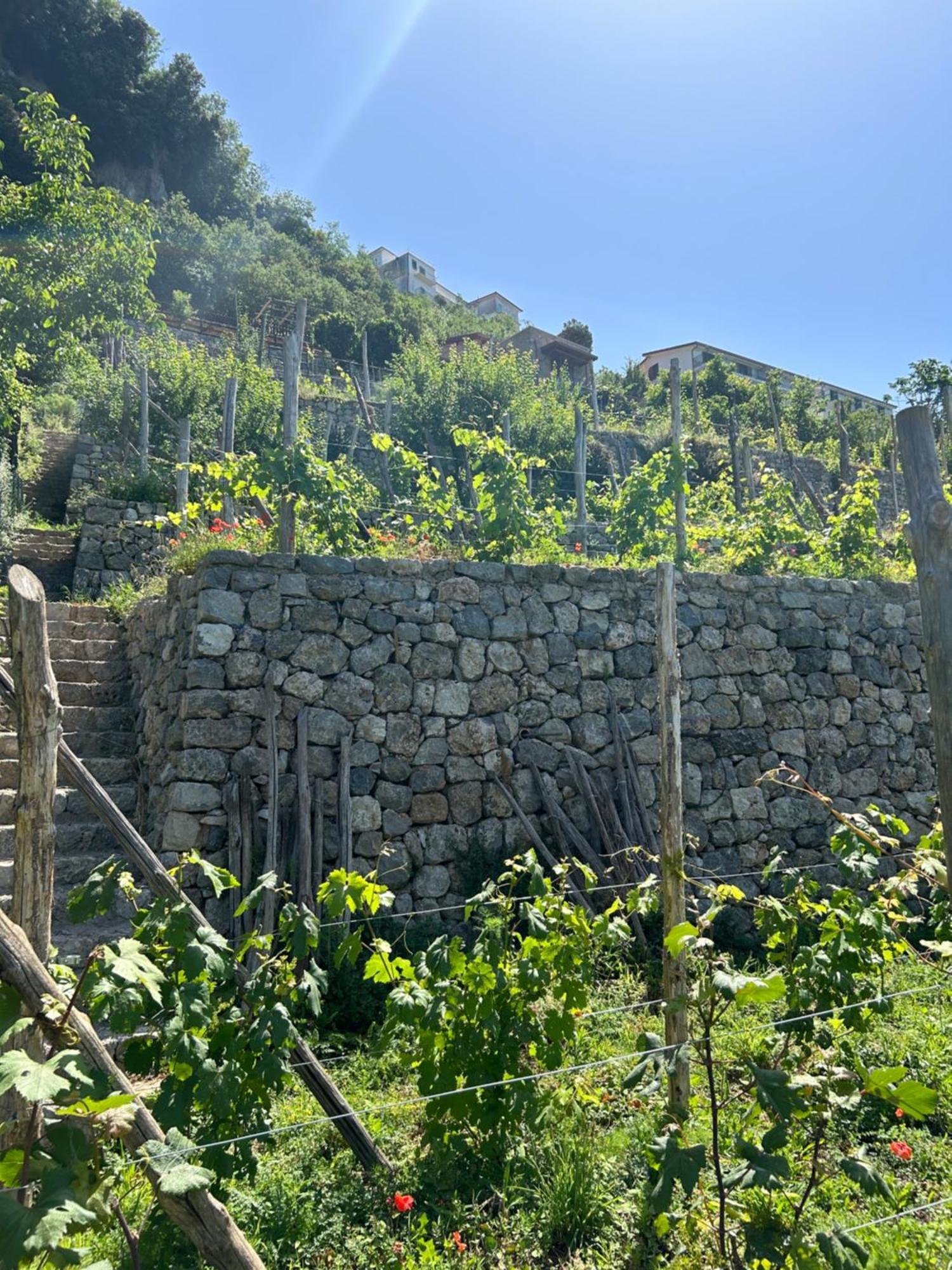 Agriturismo Orrido Di Pino Agerola Exteriér fotografie